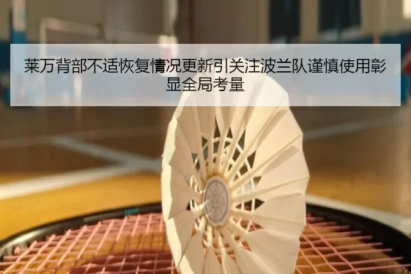 莱万背部不适恢复情况更新引关注波兰队谨慎使用彰显全局考量